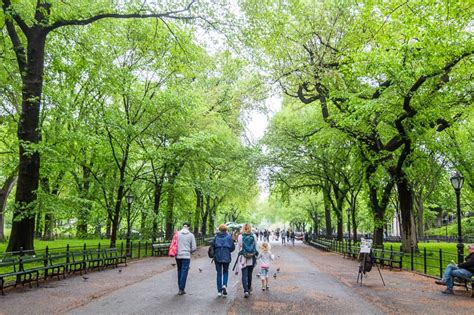 24 Best Things To Do In Central Park, NYC In Each Season!