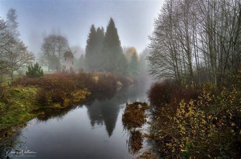 7 Amazing Things To Do In Redmond WA