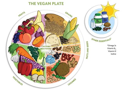 The Vegan Food Pyramid: Full Guide To Meet Your All Nutrients