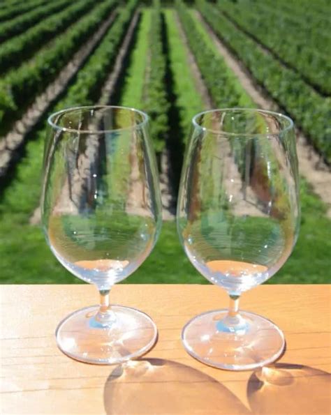 Top 10 Southern Wisconsin Wineries - Paulina on the road