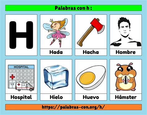 +100 Palabras con H 【 Objetos | Cosas | Animales 】 Letra h