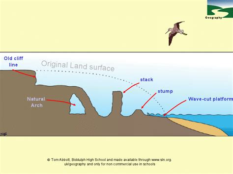 Coastal Erosion Diagrams PPT for 7th - 12th Grade | Lesson Planet