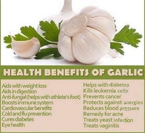 Benefits Of Garlic, Spinach, & Green Tea | Garlic benefits, Garlic ...