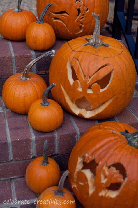 How to Dry Pumpkin Stems - Celebrate Creativity