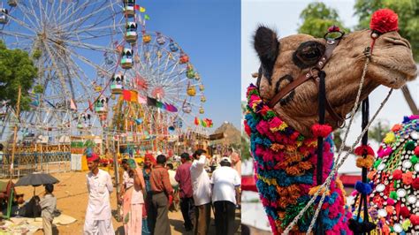 Pushkar Fair: An 8-day Fair Set To Take Place In Rajasthan, Attracting Visitors From All Over ...