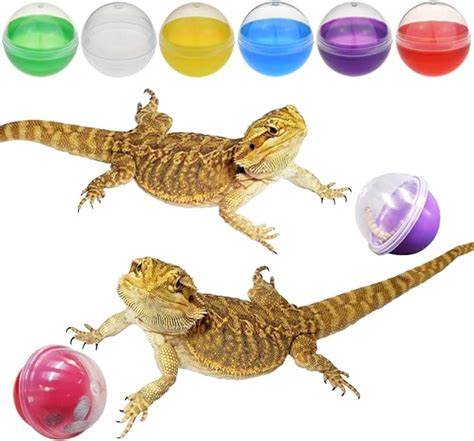 Amazon.com: CooShou 6Pcs Lizard Bearded Dragon Feeding Toys Ball Reptile Food Toys Ball Lizard ...