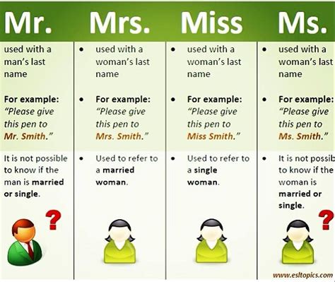 What Happened To Mr.meter When Mrs.meyer's Mother Flew In Worksheet