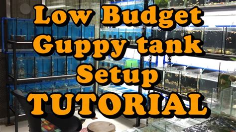 How to setup Guppy Tanks Aquarium in a Simple way and With Low Budget by GuppyMNL - YouTube