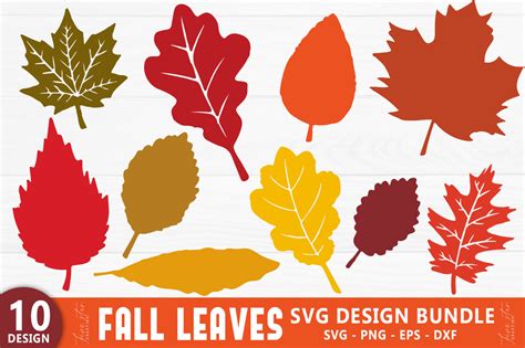 Fall Leaves SVG Bundle Graphic by Five Star Crafting · Creative Fabrica