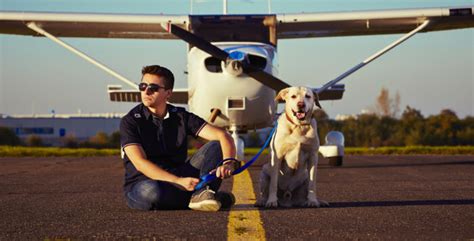 Pet Jets | Pet Friendly Private Jet Charter | FlightCharter.com.au