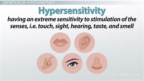 What Is Hypersensitivity in Children? - Definition, Causes & Types ...