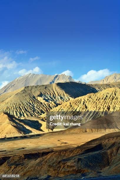 Gobi Desert Plants Photos and Premium High Res Pictures - Getty Images