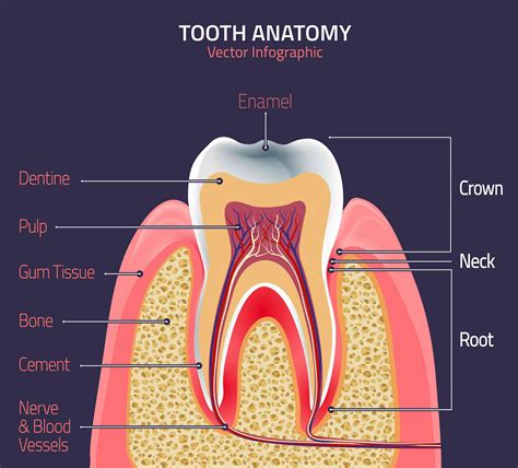 Tooth Whitening – Don’t Gamble With Your Teeth | The Epoch Times