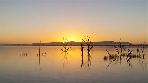 Download Tree Water Lake Nature Sunrise 4k Ultra HD Wallpaper