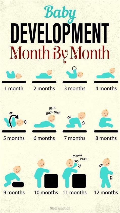 How Much Do Babies Grow Each Month - BABBIES CIP