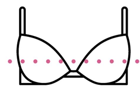 bra plus size chart - plantecuador.com