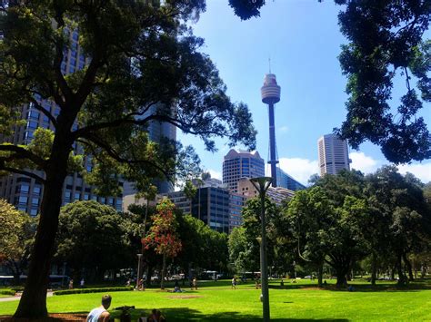 Sydney Hyde Park Hyde Park Sydney, Space Needle, Cn Tower, Bing Images ...