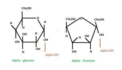 Perbandingan Struktur Alfa dan Beta Fruktosa | Ilmu Kimia