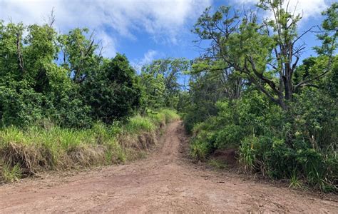 Hiking Kealia Trail: The Western Frontier of Oahu - HomeyHawaii