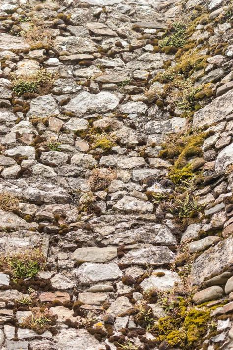 Mossy Stone Wall stock photo. Image of covered, ruin - 111175002