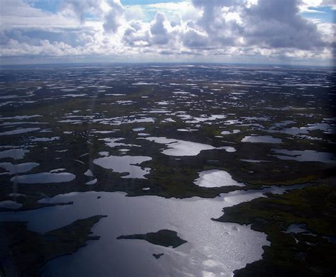 YK Delta from Air | Ariel view of tundra lakes in the Yukon-… | Flickr