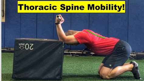 How To Improve Thoracic Spine Mobility – Squat University