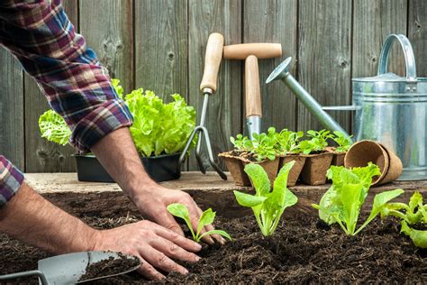 À quel prêt souscrire pour des travaux de jardinage ? - Immobilier ...