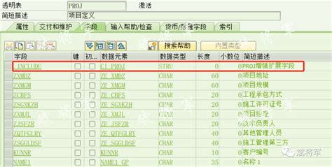 PS CJ20N 项目定义属性字段增强-CSDN博客