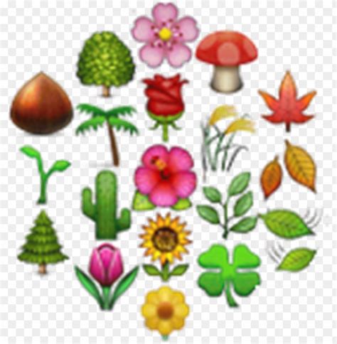 Emoji Flower Bouquet | Best Flower Site