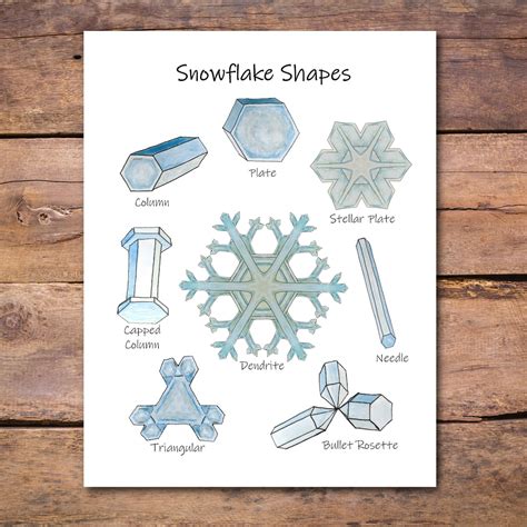 Types of Snowflakes: Classroom Poster, Snowflake Shapes Art Print ...