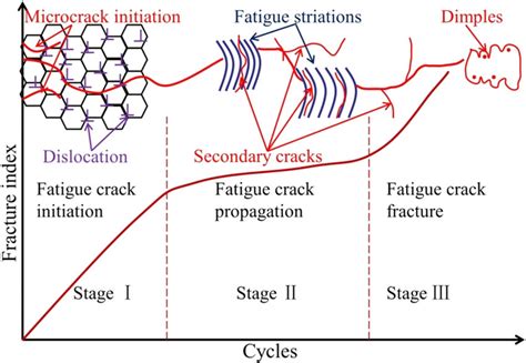 Three stages of fatigue failure. | Download Scientific Diagram