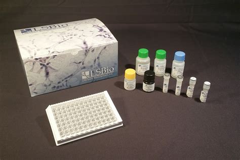 Mouse SAA1 / SAA / Serum Amyloid A Quant ELISA Kit | Sandwich | LSBio