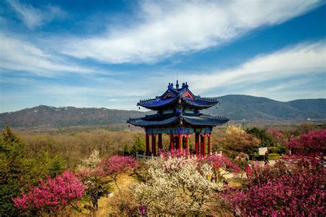 A Year-Round Guide to Nanjing, the Chinese City to Visit Now - Fathom