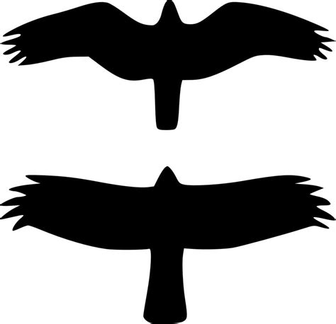 Two flying Birds Silhouettes free image download