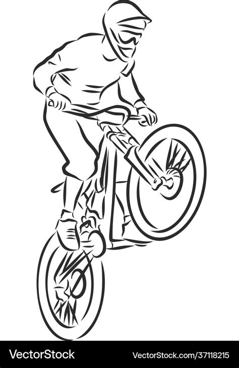 Mountain biker bike sketch contour Royalty Free Vector Image