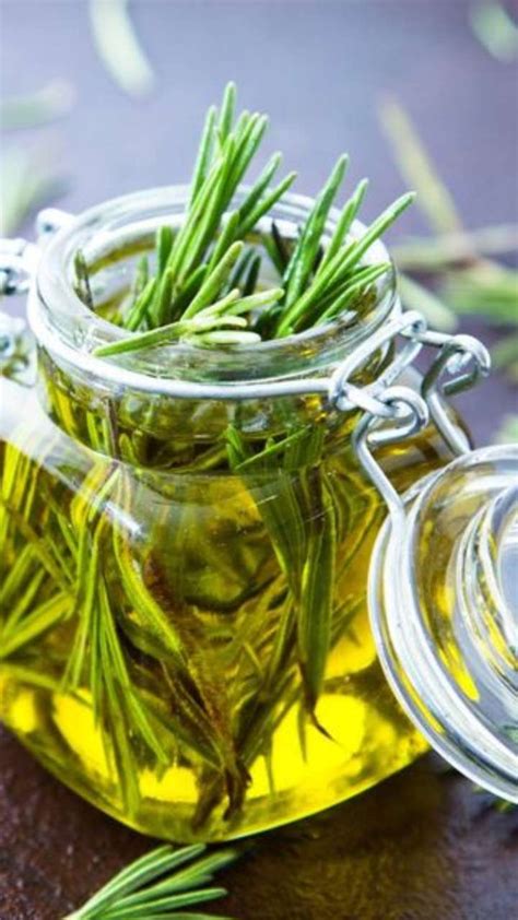 Top 5 Benefits Of Using Rosemary Oil For Hair