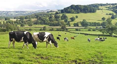 Sainsbury's backs British farming projects