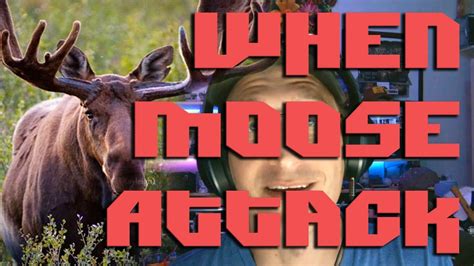 When Moose Attack - YouTube