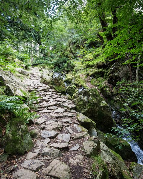 Tarn Hows and Black Fell: an easy walk in the Lake District — Walk My World