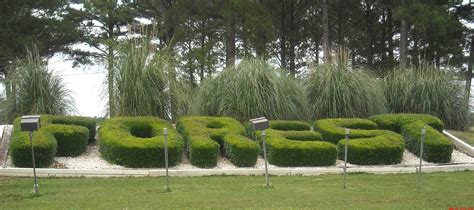 City of Forest, Mississippi | Welcome to the City of Forest, Mississippi!