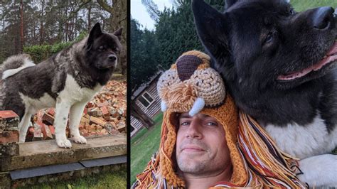 Henry Cavill’s Real Life Sidekick Is the Dog That Saved His Mental Health