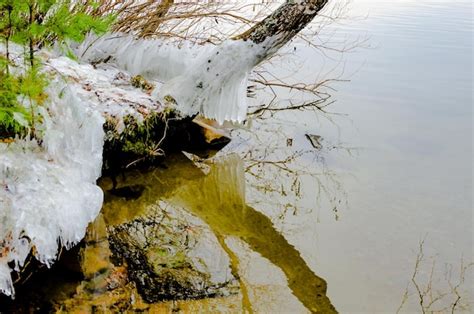 Premium Photo | Ice on the water is melting on the surface of the water.