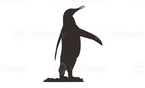 Penguin Silhouette Transparent - vrogue.co