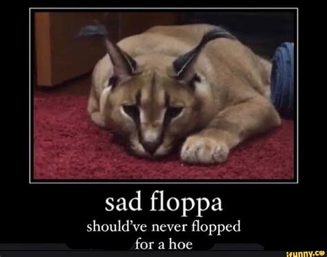 Sad floppa should've never flopped for a hoe - iFunny