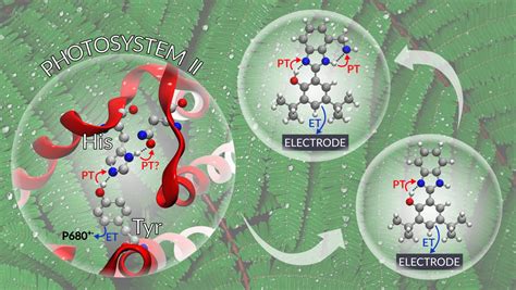 Mioy’s paper on electron-proton transfers in Tyr-His models is published in ACS Central Science ...