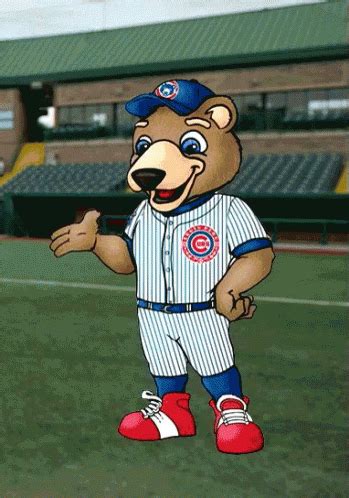 cubs cubs mascot GIF - chicago cubs bear GIFs | Say more with Tenor