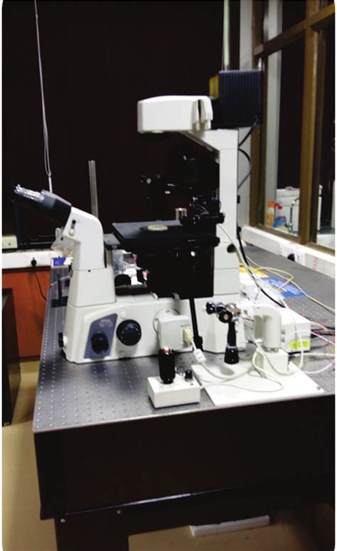 Atomic Force Microscope. | Download Scientific Diagram