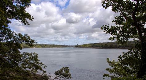 rambles with a camera: A walk around the gardens at Plas Newydd