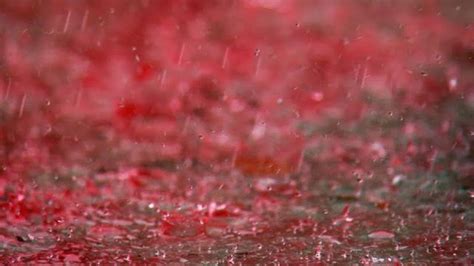 Blood rain - Alchetron, The Free Social Encyclopedia