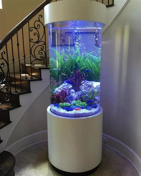 48 Do It Yourself Beautiful Aquarium at Home is Not So Hard Save Your Money | getinspiring.com ...